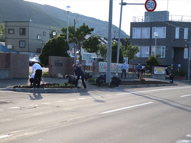 <p>渡島町から新栄町までの約７００ｍにわたり、国道２２９号沿道で花いっぱい運動が実施され、町内の各団体による苗植えが行われました。</p>