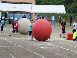 <p>寿都小学校の様子</p>