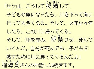 eLXg摜12