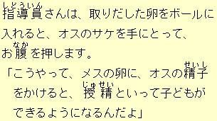 eLXg摜6