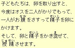 eLXg摜9